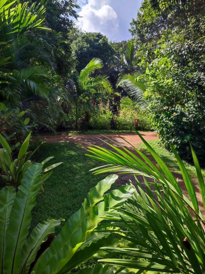 Sigiri Sandilu Homestay Sigiriya Luaran gambar