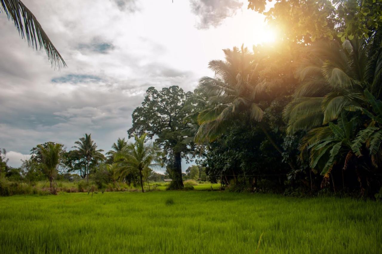 Sigiri Sandilu Homestay Sigiriya Luaran gambar