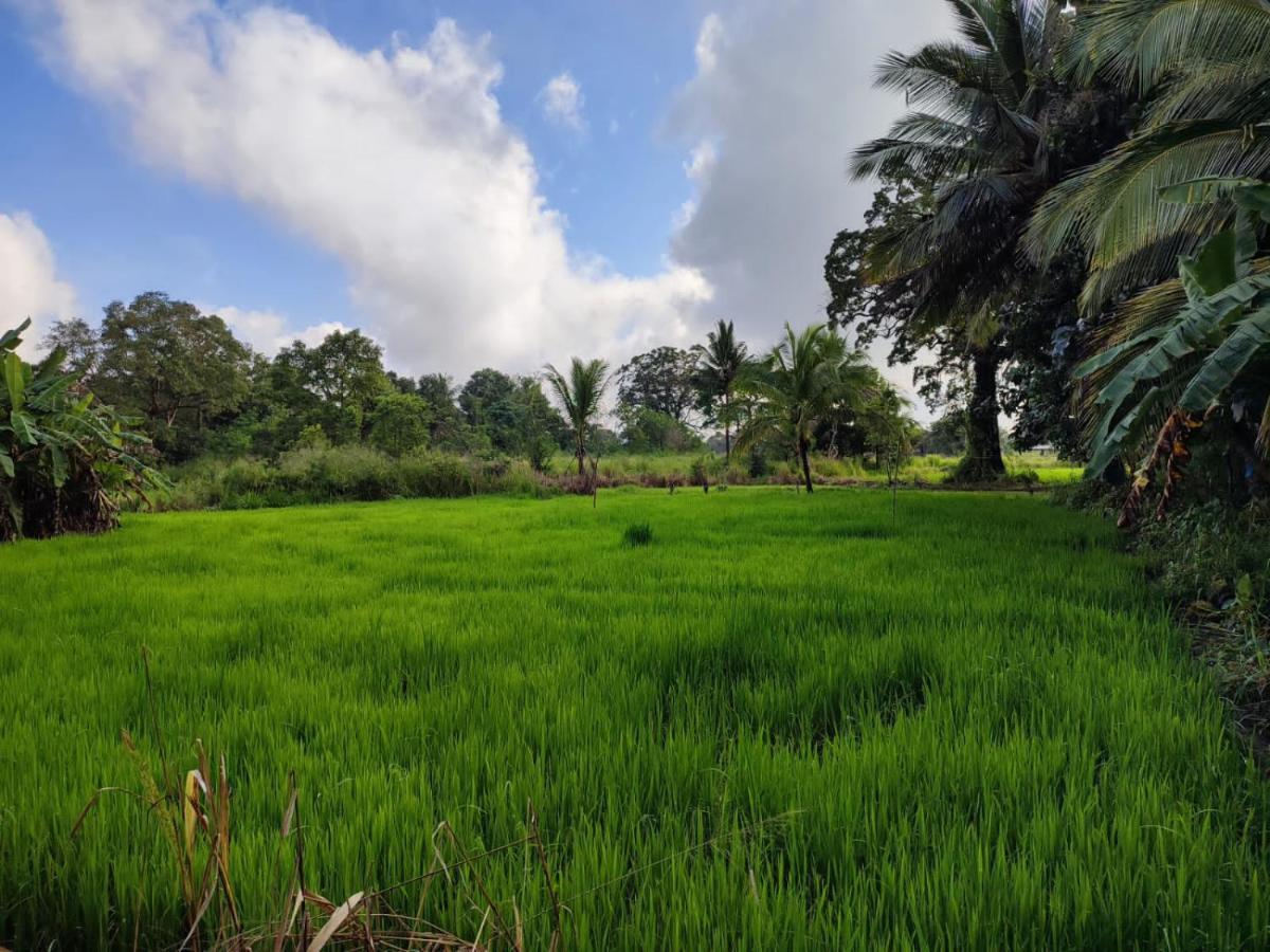 Sigiri Sandilu Homestay Sigiriya Luaran gambar