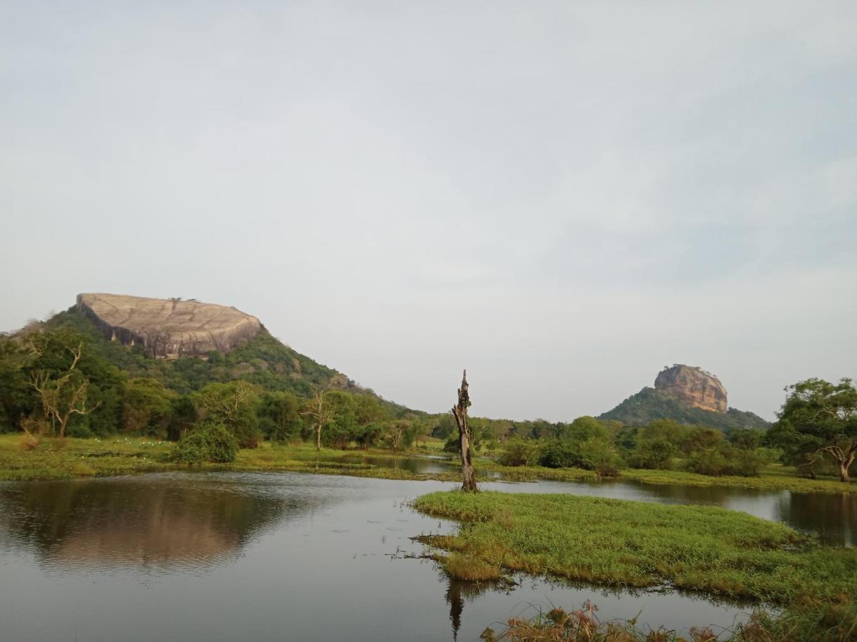 Sigiri Sandilu Homestay Sigiriya Luaran gambar