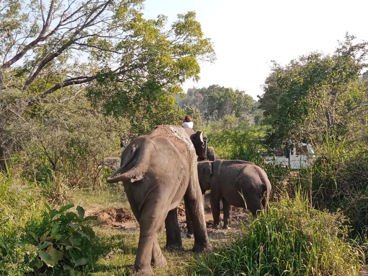 Sigiri Sandilu Homestay Sigiriya Luaran gambar
