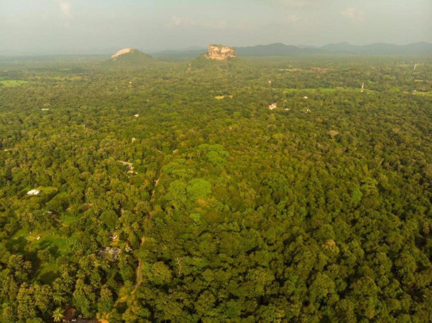 Sigiri Sandilu Homestay Sigiriya Luaran gambar