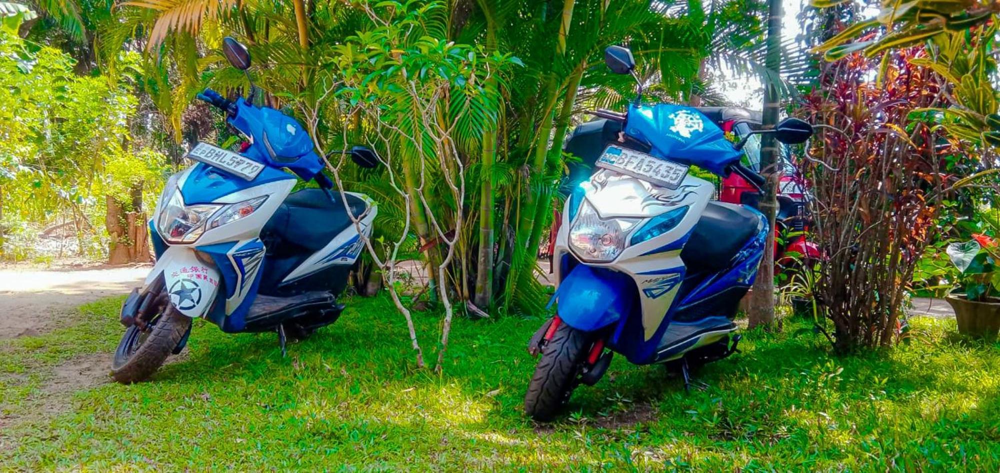 Sigiri Sandilu Homestay Sigiriya Luaran gambar